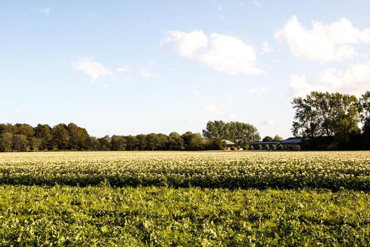 B&B Bij Kaatt Wolphaartsdijk エクステリア 写真
